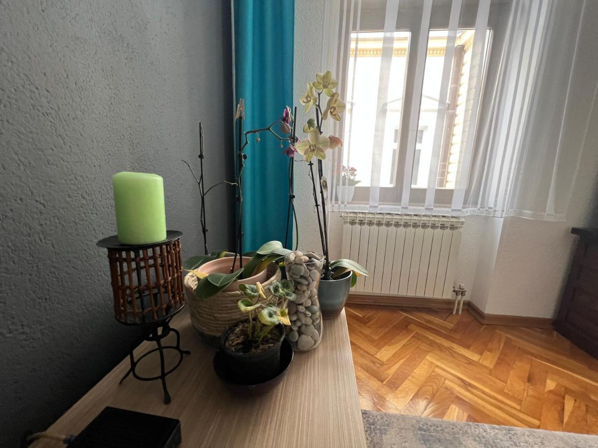 Djana Apartment ซาราเยโว ภายนอก รูปภาพ